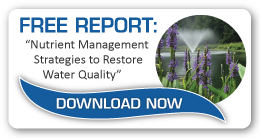 How To Restore Lake And Pond Water Quality Through Nutrient Management