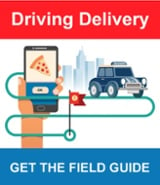 Read the Driving Delivery Ebook now