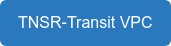 TNSR-Transit VPC