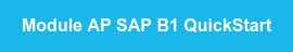 Module AP SAP B1 QuickStart