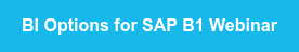 BI Options for SAP B1 Webinar