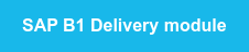 SAP B1 Delivery module