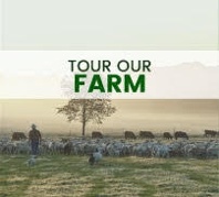 Tour White Oak Pastures