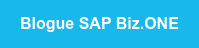 Blogue SAP Biz.ONE